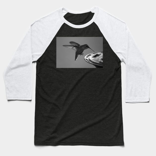 Hummingbird at Feeder Black and White 2 or 3 Baseball T-Shirt by ButterflyInTheAttic